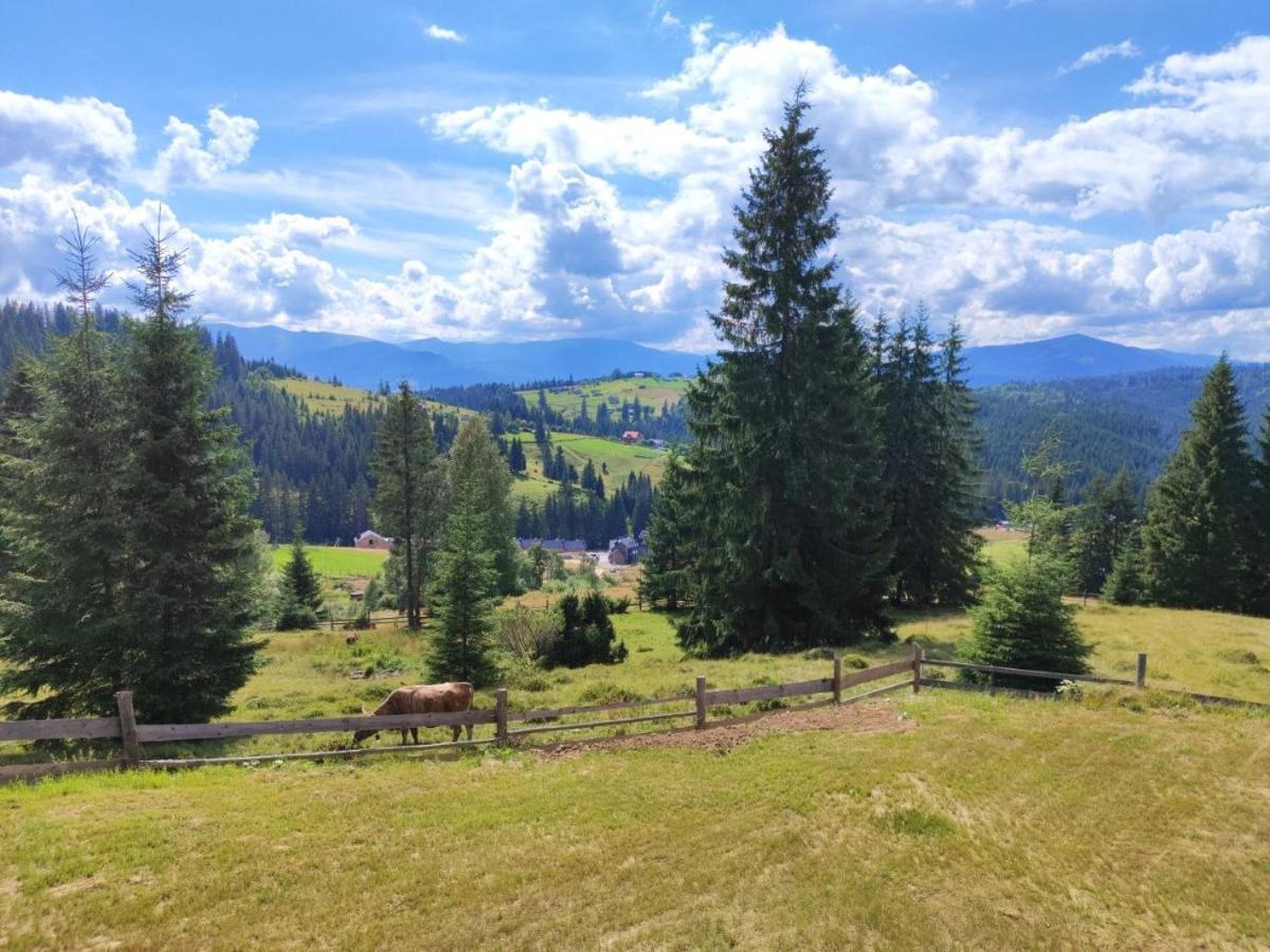 Lidia Chalets Polyanitsa Popovichevskaya Buitenkant foto